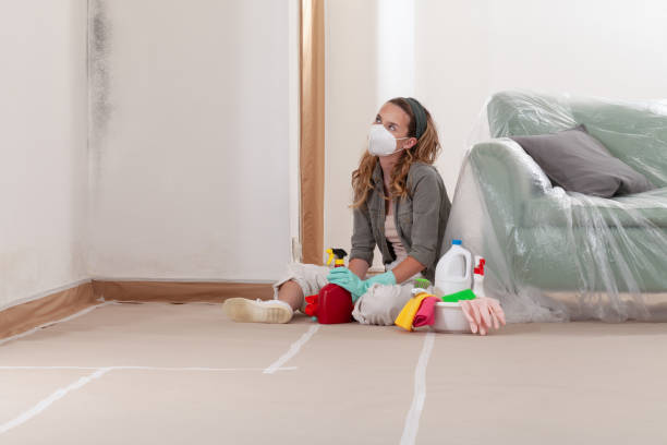 Reliable Basement Mold Remediation contractor in Amissville, VA by WQB Mold Removal